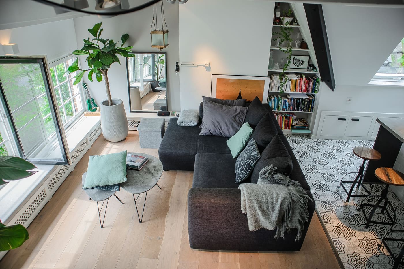 Living room with a large dark sofa, a tall plant and large windows