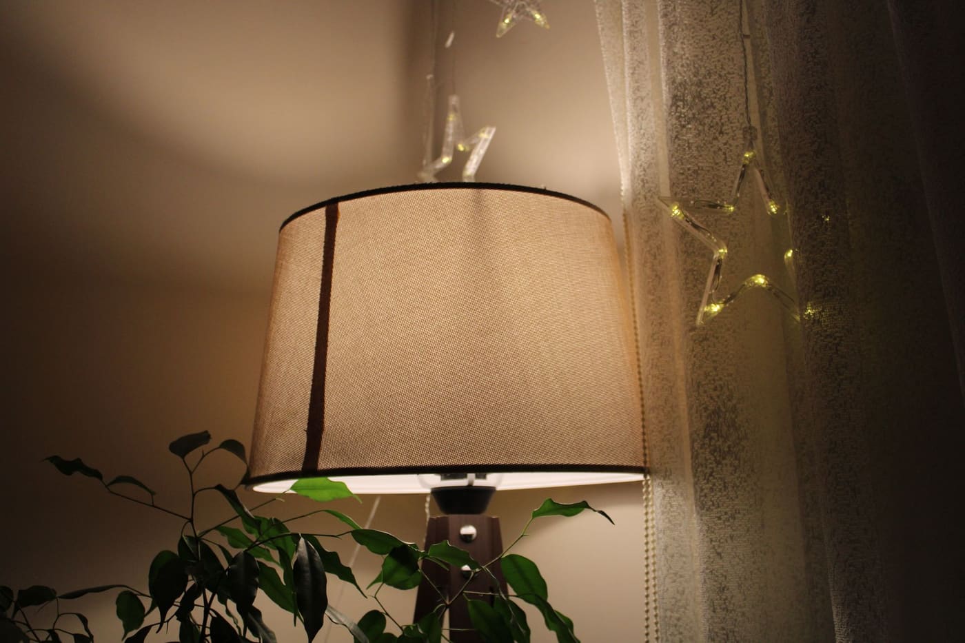 Table lamp with a pale fabric shade beside a plant